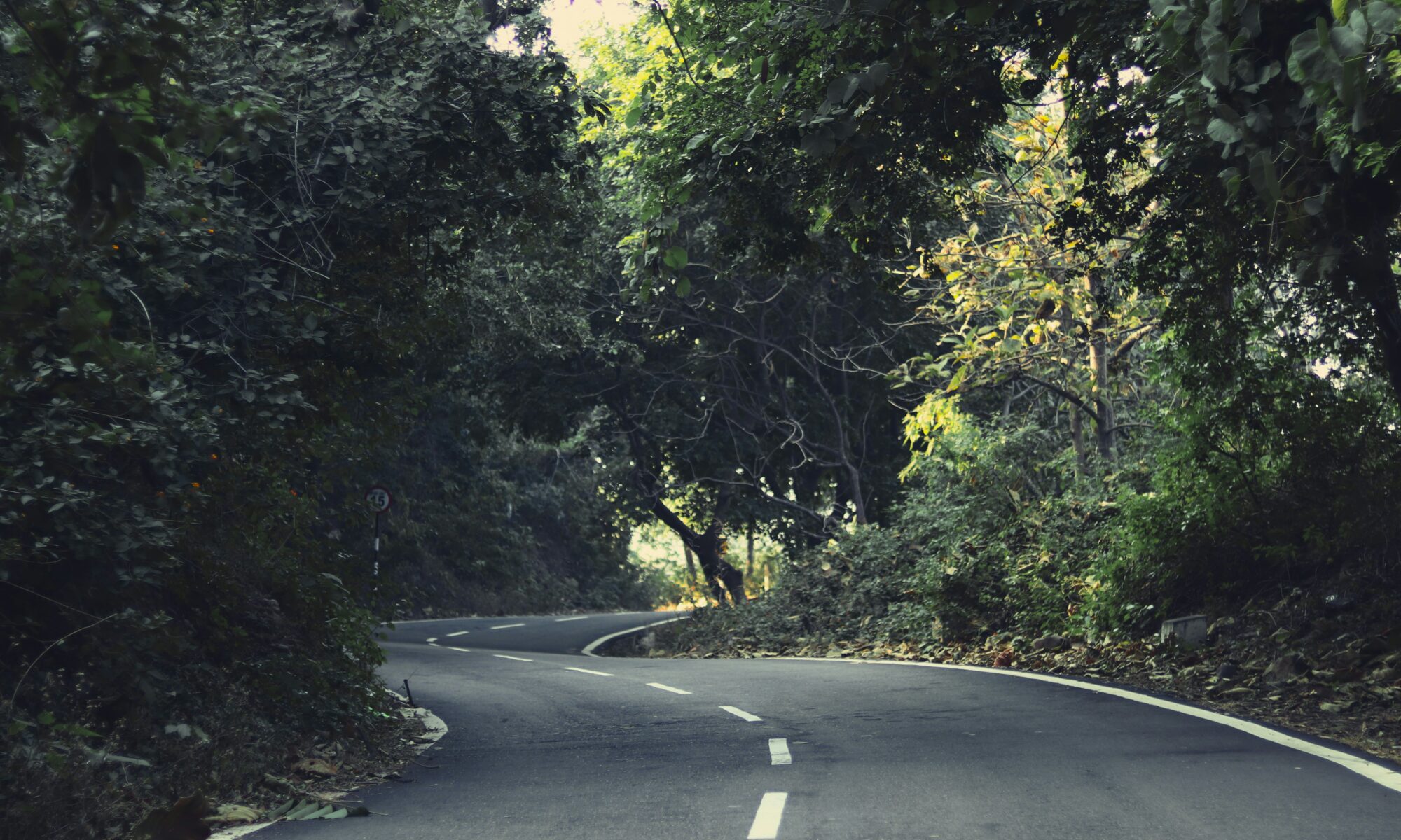 WPBakery Page postGrid