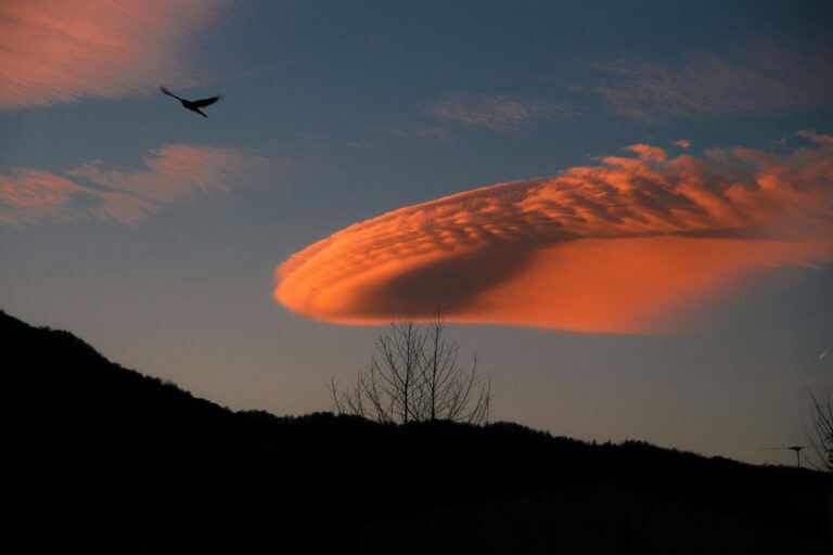 Tramonto – Articolo 4